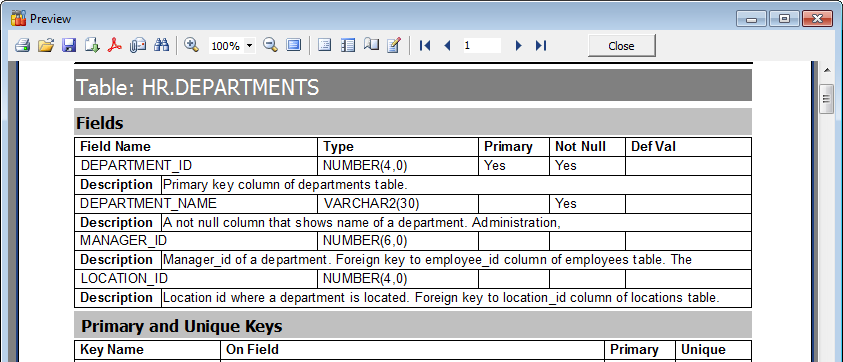 Report Viewer - Metadata