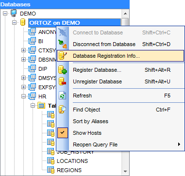 hs2420 - DB Explorer - Database context menu