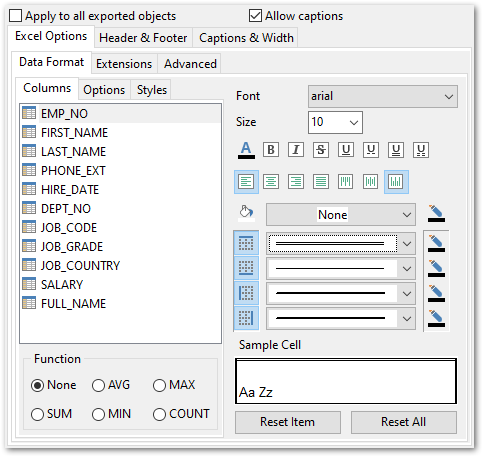 Format-specific options - MS Excel - Data format - Fields