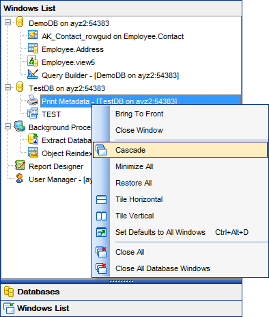 Appendix - Window List