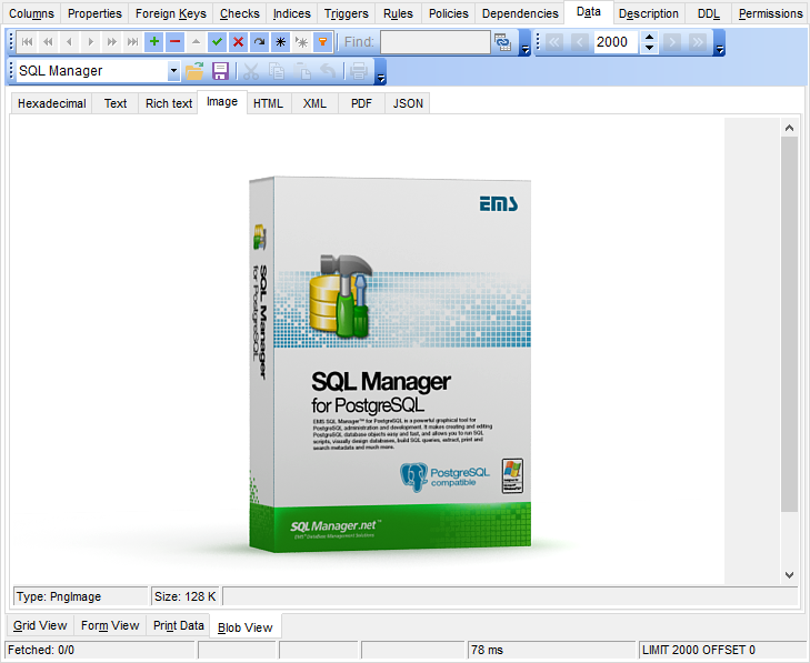 Data View - BLOB View - Image