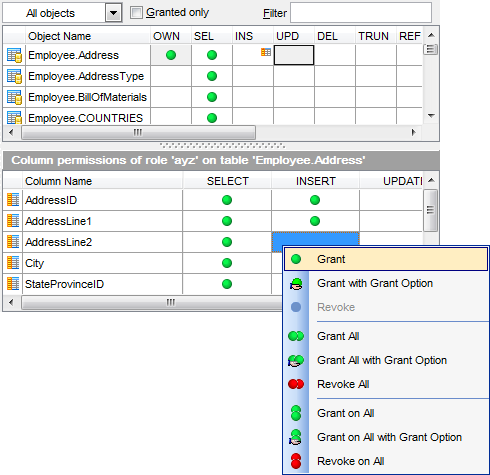 Grant Manager - Managing column permissions