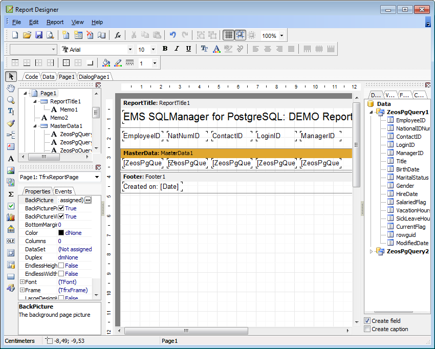 Report Designer - Adding report data