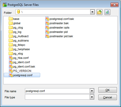 Download File wizard - PostgreSQL server files