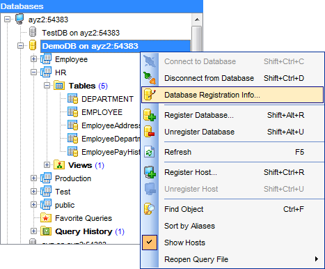 hs2420 - DB Explorer - Database context menu