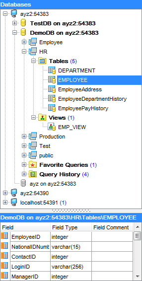 hs3100 - Database Explorer